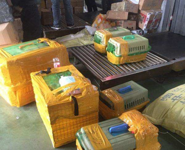 安徽航馳貨運代理(圖)-海鮮航空快遞費用-黑龍江航空物流(圖1)