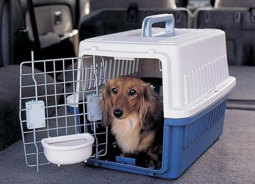 托運(yùn)小動(dòng)物如何收費(fèi)(圖1)