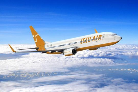 航空托運(yùn)寵物需要注意哪些問題(圖1)